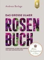 bokomslag Das große Ulmer Rosenbuch