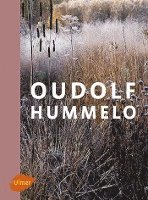 bokomslag Oudolf Hummelo