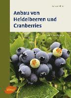 bokomslag Anbau von Heidelbeeren und Cranberries