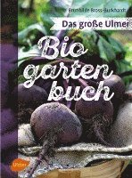 bokomslag Das große Ulmer Biogarten-Buch