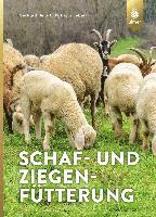 bokomslag Schaf- und Ziegenfütterung