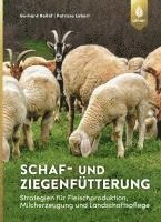 bokomslag Schaf- und Ziegenfütterung