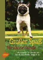 bokomslag Großer Spaß für kleine Hunde