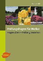 bokomslag Prüfungsfragen für Werker