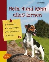 bokomslag Mein Hund kann alles lernen