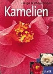 Kamelien 1