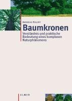 Baumkronen 1