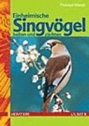 bokomslag Einheimische Singvögel halten und züchten