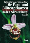 bokomslag Die Farn- und Blütenpflanzen Baden-Württembergs Band 8