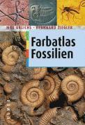 bokomslag Farbatlas Fossilien