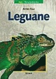 bokomslag Leguane