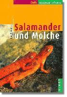 bokomslag Salamander und Molche