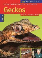 bokomslag Geckos