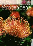 bokomslag Proteaceae