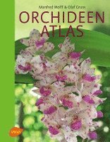 bokomslag Orchideenatlas
