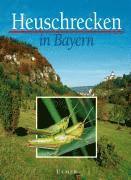 bokomslag Heuschrecken in Bayern