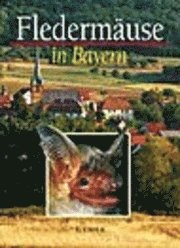 bokomslag Fledermäuse in Bayern