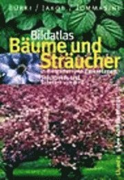 Bildatlas Bäume und Sträucher in Ziergärten und Parkanlagen 1