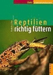 bokomslag Reptilien richtig füttern