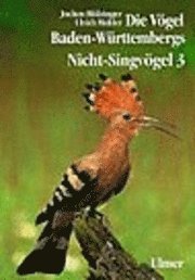 bokomslag Nicht-Singvögel 3