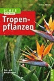 Tropenpflanzen 1