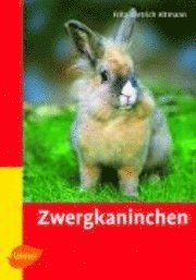 bokomslag Zwergkaninchen