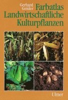 bokomslag Farbatlas Landwirtschaftliche Kulturpflanzen