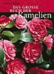 bokomslag Das grosse Buch der Kamelien