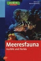 bokomslag Meeresfauna Karibik und Florida