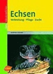 Echsen 1