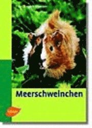 bokomslag Meerschweinchen