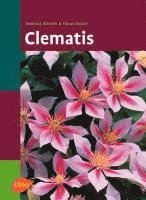 bokomslag Clematis