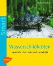 bokomslag Wasserschildkröten