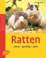 bokomslag Ratten