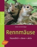 Rennmäuse 1