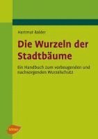 Die Wurzeln der Stadtbäume 1