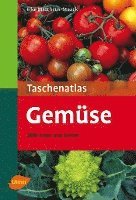 bokomslag Taschenatlas Gemüse