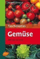 Elke Mattheus-Staack - Taschenatlas Gemüse, Häftad
