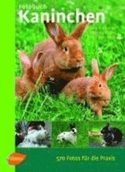 bokomslag Fotobuch Kaninchen