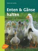 bokomslag Enten und Gänse halten