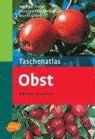 bokomslag Taschenatlas Obst