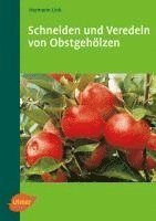 bokomslag Schneiden und Veredeln von Obstgehölzen