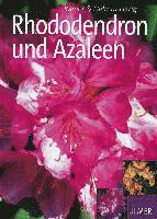 bokomslag Rhododendron und Azaleen