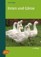 bokomslag Enten und Gänse