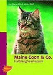 bokomslag Maine Coon & Co