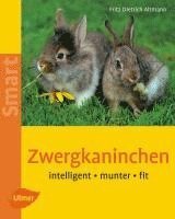 bokomslag Zwergkaninchen. Heimtiere halten