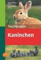 Petra Ahrens - Taschenatlas Kaninchen, Häftad