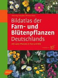 bokomslag Bildatlas Der Farn- Und Blutenpflanzen Deutschlands