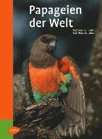 bokomslag Reinschmidt, M: Papageien der Welt
