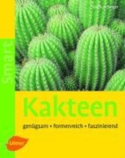 Kakteen 1